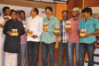Tanu Nenu Mohammad Rafi Audio Launch